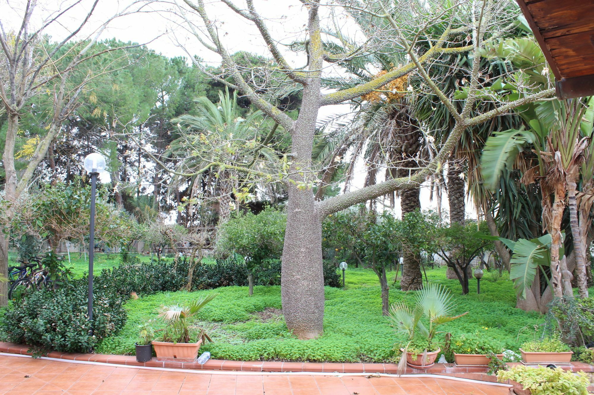 Villa Delle Nifee Мадзара-дель-Валло Екстер'єр фото